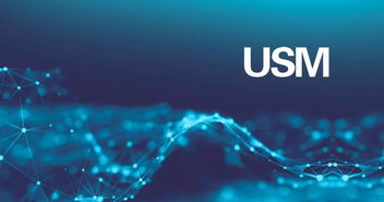 直線型超聲電機(jī)的應(yīng)用領(lǐng)域與軟件開發(fā)